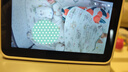 nest designs嬰兒睡袋嬰幼兒春秋一體式防踢被牛油果單層七分袖 牛油果單層-夏日甜心（26-28度） 80cm（建議身高70-85cm） 曬單實(shí)拍圖