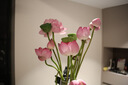 永諾50F1.8R DF 多規(guī)格R口全畫幅標(biāo)準(zhǔn)定焦鏡頭 適用R口微單相機(jī) 黑殼 曬單實拍圖