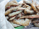 鮮京采 原裝進(jìn)口厄瓜多爾白蝦 凈重3.3斤 大號30-40規(guī)格 50-66只/盒 曬單實(shí)拍圖