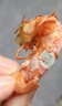 蝶島海歌大九節(jié)蝦干即食干蝦袋裝新鮮烤蝦干孕婦可食海鮮零食代餐干貨特產(chǎn) 特大九節(jié)蝦干2428型 一斤裝500g 曬單實拍圖
