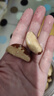春江月新貨巴西大鮑魚果仁富硒原味堅果新疆沙漠果孕婦兒童干果含硒零食 【0添加富硒果仁】500g*1罐 曬單實拍圖