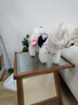 嬉皮狗（hipidog）寵物狗狗衣服快樂小狗連衣裙寵物公主裙小型犬比熊泰迪犬夏天薄款 奧麗粉 2XL （建議體重15-20斤） 曬單實拍圖