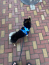 拉夫威爾ruffwear福朗特胸背狗狗胸背帶大小型犬拉布拉多背心式牽引背帶 海岸山脈 XS 曬單實(shí)拍圖