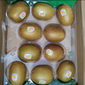 佳沛（zespri）新西蘭  陽光金奇異果10粒禮盒巨大果單果約144-175g 水果 獼猴桃 曬單實拍圖
