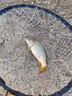 釣魚王巧奪腥香四季通用野釣餌料一包搞定鯽魚鯉魚鳊魚黑坑魚餌 曬單實拍圖