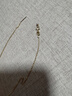 老銀匠s925純銀萬能針式項鏈小孔串珠鏈抽拉裸鏈可調(diào)節(jié)素鏈無吊墜基礎(chǔ)鏈 金色 O型鏈 鏈長約45cm/含證書 曬單實拍圖