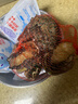 漁傳播 鮮活鮑魚(yú) 凈重1斤 6-8只 生鮮海鮮貝類(lèi) 包鮮不包活 源頭直發(fā) 曬單實(shí)拍圖