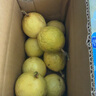 海南百香果廣西百香果 變黃變皺皮更甜 泡水喝 生吃 調味新鮮水果 10個 曬單實拍圖