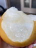 山姆伯伯秋月梨正宗萊陽(yáng)梨【多地次日達(dá)】新鮮梨子香雪梨水果禮盒中秋禮品 【清甜-優(yōu)選果】丨單果200-300g 5斤裝【超劃算-80%回購(gòu)選】?jī)?.5 曬單實(shí)拍圖