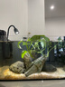 派樂(lè )特 魚(yú)缸造景骨架膠水族沉木莫斯樹(shù)根水草鵝卵石頭粘結100g 曬單實(shí)拍圖