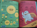 尤斯伯恩Usborne 大發(fā)現系列 100 things to know 100件關(guān)于科學(xué)數字食物太空的事 11冊合售 精裝英文原版 尤斯伯恩 青少年兒童科普百科知識英語(yǔ)繪本 曬單實(shí)拍圖