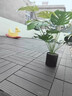 PVC塑料地板戶(hù)外露臺陽(yáng)臺地面自鋪室外庭院花園卡扣拼接塑木地板 pvc塑料地板高級灰30cm*30cm一片 曬單實(shí)拍圖
