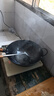 美的（Midea） 電磁爐大功率家用 防水面板2200W大功率 炒菜火鍋不粘炒鍋一體小型電磁灶 【鉑鉆面板】E22B23 電磁爐 曬單實拍圖