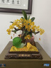 發(fā)財(cái)樹(shù)擺件金蟾玉白菜客廳裝飾工藝品店鋪前臺(tái)辦公室開(kāi)業(yè)禮物 【順豐】YX12寸金蟾納財(cái)沙金26*1 曬單實(shí)拍圖