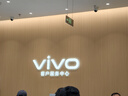 vivo X300 Pro 16GB+1TB 曠野棕 蔡司2億APO超級長(cháng)焦 藍圖影像雙芯 5年持久流暢OriginOS 6 AI手機 曬單實(shí)拍圖