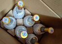 汾酒 黃蓋玻汾 清香型白酒 53度 475mL*6瓶 整箱裝非原箱 曬單實拍圖