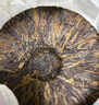 六大茶山俊昌號.典藏第四代 普洱生茶(2024)/云南老字號普洱茶生茶餅茶 俊昌號典藏第四代普洱生茶(2024) 曬單實(shí)拍圖