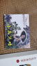 紅色經(jīng)典故事 連環(huán)畫(huà) 小人書(shū) 人民美術(shù) 經(jīng)典收藏（套裝10冊） 曬單實(shí)拍圖