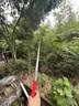 德國精工剪樹枝剪刀長桿伸縮新款高枝剪樹枝剪刀果樹高空 1.2-2米【伸縮款】鋸剪摘三用 曬單實拍圖