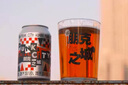 拾捌精釀國產(chǎn)精釀啤酒跳東湖IPA/不接受批評/隨便先生/無(wú)酸不樂(lè ) 朋克之城 330mL 6罐 四倍IPA 曬單實(shí)拍圖