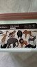 紐奇兒童玩具仿真動物模型小兔子男女孩野生動物世界認(rèn)知卡片套裝  曬單實(shí)拍圖