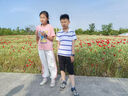 G.DUCKKIDS女童短袖套裝夏裝2025新款t恤半袖上衣中大童女裝夏季女孩兒童裝 粉色套裝 【T恤+褲子】 150 cm 曬單實拍圖