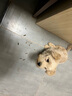 QISE琪瑟綿羊油護手霜滋潤高保濕補水滋潤霜防干裂不油膩秋冬嫩膚男女通用 綿羊油護手霜*3支 曬單實拍圖