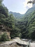 夢庭（MENGTING） 茶渣桶茶盤飲水機(jī)導(dǎo)水管下抽水管吸水管 銅頭球+軟管1.5米 曬單實(shí)拍圖