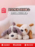 名創(chuàng  )優(yōu)品（MINISO）趴趴狗玩偶小號毛絨娃娃趴姿小狗狗公仔生日禮物女士送禮驚喜新年 坐姿系列-乖乖坐姿小狗（棕色） 曬單實(shí)拍圖
