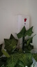 德力西（DELIXI）漏電保護(hù)開關(guān)86型漏電保護(hù)器 纖薄款32A大功率 曬單實(shí)拍圖