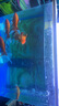 YEE魚缸燈LED燈水草燈草缸燈水族箱燈架節(jié)能防濺水照明燈支架燈16w 曬單實(shí)拍圖