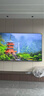 海信電視小墨E5Q 85英寸 抗反光防眩光墨晶屏 U+Mini LED 300Hz高刷 U+超畫(huà)質(zhì)引擎Pro 國家補貼 85E5Q 85英寸 咨詢(xún)客服更優(yōu)惠 曬單實(shí)拍圖