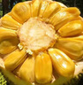 海南黃肉菠蘿蜜整個(gè) 新鮮水果三亞干苞木波羅蜜 20-25斤 曬單實(shí)拍圖