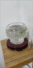 飛鶴（FIRMUS）臻稚卓蓓有機(jī)嬰兒配方1段牛奶粉（0-6個月嬰兒適用）700克 1段 700g 6罐 曬單實拍圖