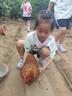 安踏兒童短袖T恤女童籃球服2025夏季速干衣寬松運動上衣362528103 曬單實拍圖