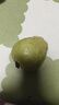京鮮生 紅心珍珠芭樂 番石榴 凈重3斤 單果150g+ 生鮮水果水果禮盒 曬單實拍圖