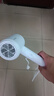 飛科（FLYCO）博銳電吹風(fēng)機家用大功率便攜負離子吹風(fēng)筒1800W大風(fēng)力柔風(fēng)恒溫護發(fā)速干冷熱風(fēng) PH1629 曬單實拍圖