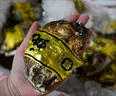 燈塔水母【順豐】山東特產(chǎn)乳山活鮮鮮活生蠔 牡蠣海蠣子海鮮水產(chǎn)燒烤食材 海蠣子凈重4斤 M (約50-70g/只) 曬單實(shí)拍圖