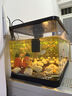 闊庭（KUOTING）魚(yú)缸水族箱生態(tài)桌面魚(yú)缸新款懶人魚(yú)缸過(guò)濾制氧一體黑色【特大號】 曬單實(shí)拍圖