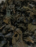 安溪鐵觀音特級全功夫茶傳統(tǒng)工藝清香型鐵觀音送長輩送禮物禮盒 全功夫大師茶1條56g 曬單實拍圖