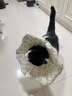 KimPets貓咪伊麗莎白圈防舔專(zhuān)用絕育驅蟲(chóng)貓項圈防舔貓加厚貓用貓圈頭套 綠色小兔子 海綿項圈 立體防舔 S-小型建議0-5斤內 曬單實(shí)拍圖