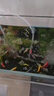 魚(yú)呼吸魚(yú)缸氧氣泵配件沖氧氣管透明細軟管水族用品 4米氧氣管套餐+2個(gè)納米氣泡石 曬單實(shí)拍圖