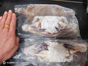 舟山梭子蟹鮮活特大野生大螃蟹新鮮冷凍海鮮水產(chǎn)海蟹飛蟹白蟹順豐 7-9兩/只【5斤凈重 特大肥壯】 曬單實(shí)拍圖