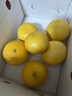 京地達葡萄陽(yáng)光玫瑰晴王青提香印水果送禮凈重4.8斤單果均12g+源頭直發(fā) 曬單實(shí)拍圖