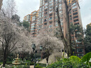 瑞彼麗孕婦哺乳衣外出連衣裙高級感辣媽夏季胖mm遮肉產(chǎn)后期大碼喂奶裙子 黑色【胸前解扣可哺乳】 2XL碼 140-150斤 曬單實(shí)拍圖