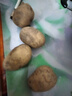 牛愛(ài)鮮 黃心土豆新鮮洋芋馬鈴薯黃皮應季蔬菜整箱優(yōu)質(zhì)土豆現摘美味蔬菜 凈重9斤【現挖現發(fā)】 農家現挖蔬菜 曬單實(shí)拍圖