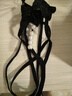 惹火貓（cupidcat）珍珠蕾絲內(nèi)褲情調(diào)性感情趣內(nèi)衣女大碼火辣純欲透明黑色X R1760黑 曬單實(shí)拍圖