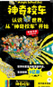 【全12冊 2024升級新版】神奇校車·圖畫書版 學(xué)習(xí)知識益智的兒童書繪本磨鐵星球版圖書正版漫畫注音一年級 磨鐵圖書 正版書籍 【禮盒版 贈點讀筆】神奇校車·橋梁書版（全20冊） 曬單實拍圖