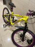 鳳凰（Phoenix）雙減震速降軟尾山地自行車(chē)成人男士女士學(xué)生變速碟剎全軸承土坡車(chē) 菊黃紫-AM碳鋼車(chē)架-雙減震-全軸承-防刺加粗輪胎 24寸-適合身高145-175cm左右 8速-藍圖品牌變速-官方正品-全鋁閘把-培林花鼓 曬單實(shí)拍圖