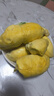 【保4房肉】A級進口金枕鮮榴蓮1粒2-2.5kg(M) 曬單實拍圖